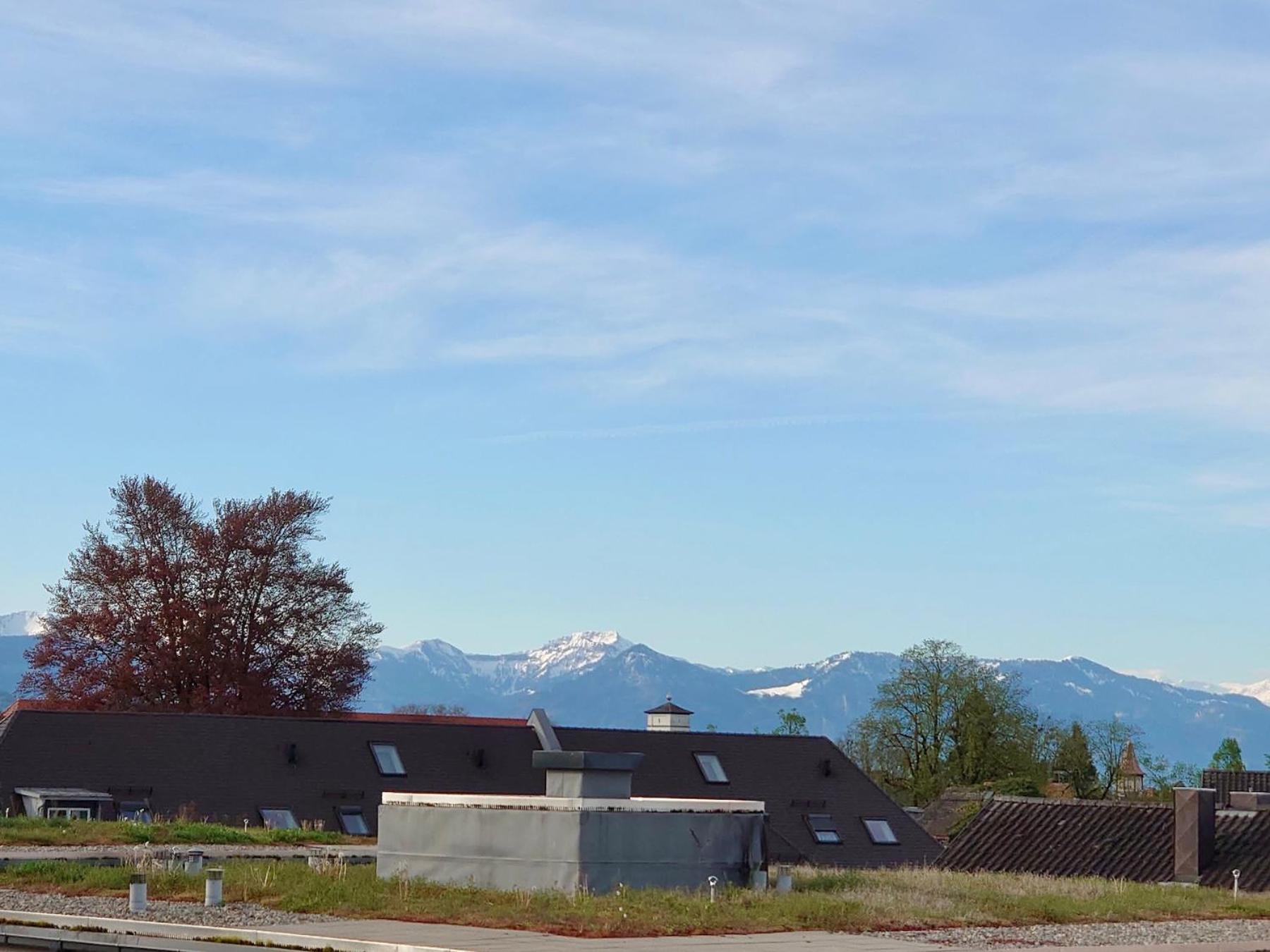 Ferienwohnung Riva - Wohlfuehloase In Ruhiger Lage Lindau  Exterior foto